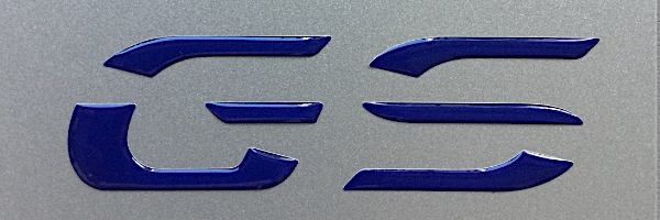 GSlogo_navyblue.jpg